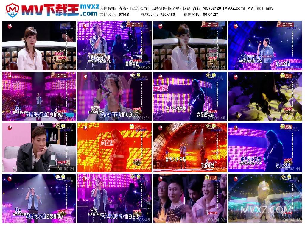 齐秦-自己的心情自己感受(中国之星)_国语_流行_MC702120